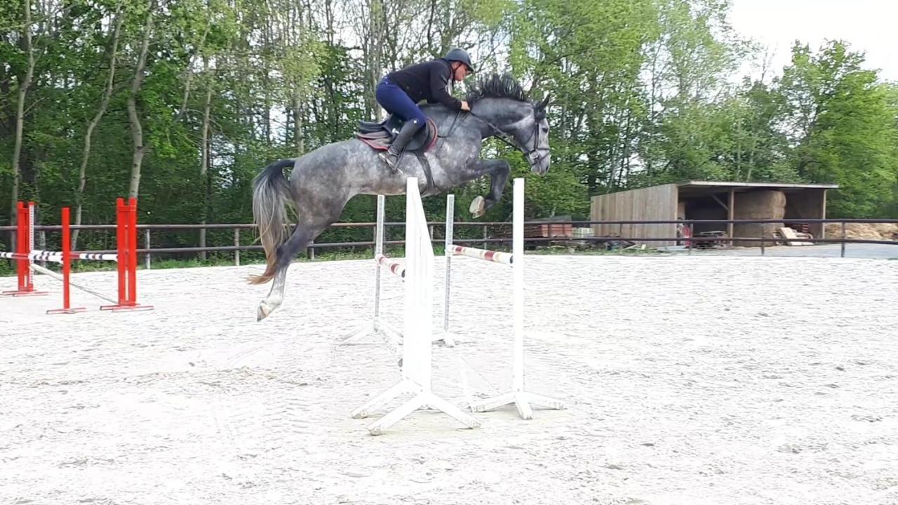Gite Du Haras De Vales Moult Exterior foto